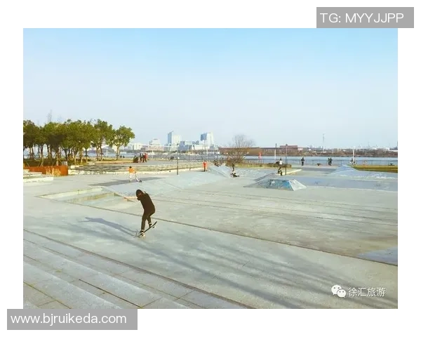 上海滑板队转型之路的得与失探讨与反思